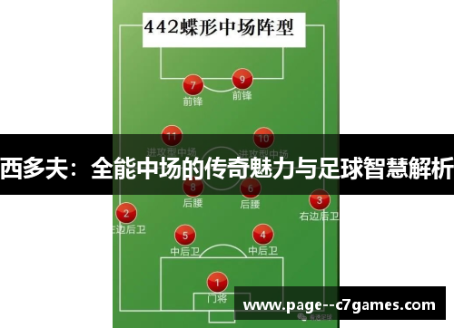 西多夫：全能中场的传奇魅力与足球智慧解析