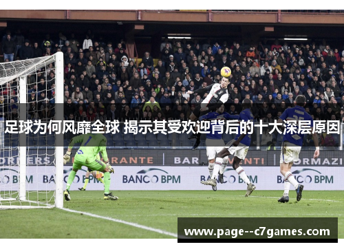 足球为何风靡全球 揭示其受欢迎背后的十大深层原因