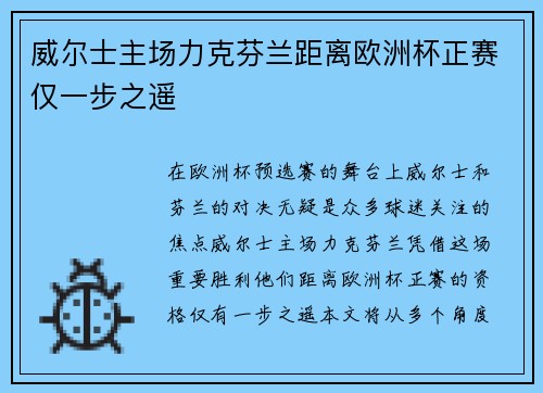 威尔士主场力克芬兰距离欧洲杯正赛仅一步之遥