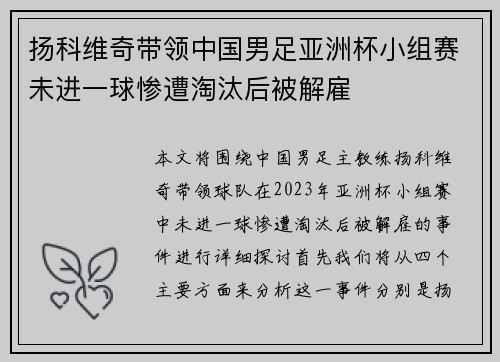 扬科维奇带领中国男足亚洲杯小组赛未进一球惨遭淘汰后被解雇
